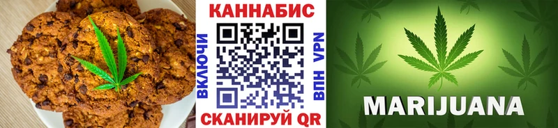 Купить Стародуб Cannafood конопля