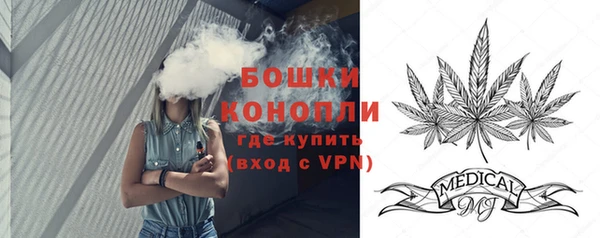 шишки Алзамай