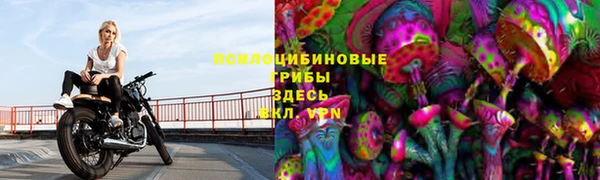 шишки Алзамай