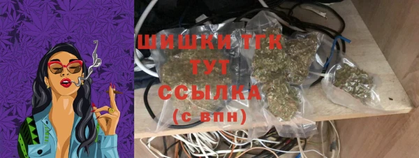 шишки Алзамай