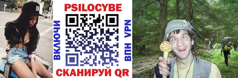 Псилоцибиновые грибы мицелий  Купить закладки  Стародуб 