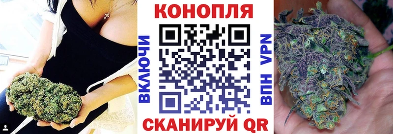 Купить  Стародуб  Канабис конопля 